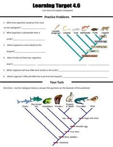 protist dichotomous key worksheet activity | Biology and Life Science Lessons | Dichotomous key ...