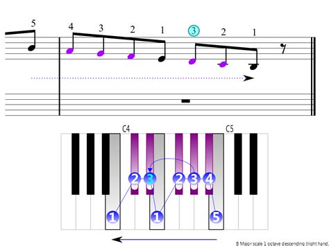 B Major scale 1 octave (right hand) | Piano Fingering Figures