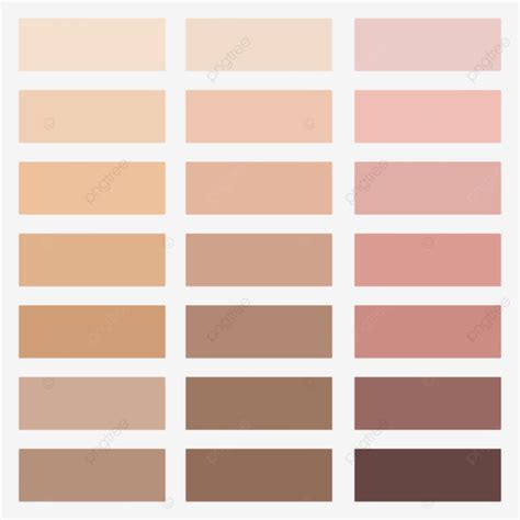 Skin Color Palette Tone Chart, Beige, Tones, Whitening PNG and Vector ...