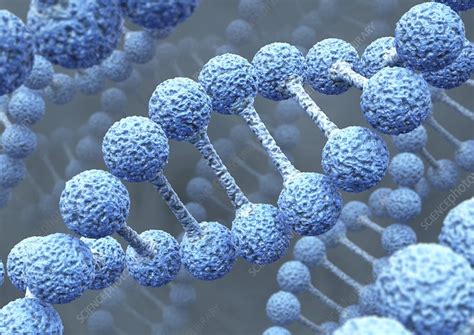 DNA molecules, artwork - Stock Image - C011/6139 - Science Photo Library