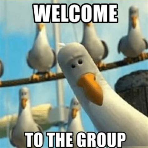 welcome to the group meme | Welcome to the group, Work humor, Funny coworker memes