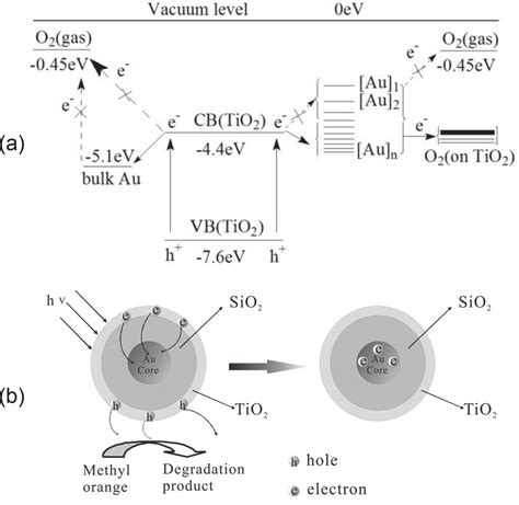 The mechanism of photocatalysis: (a) the schematic diagram 27 showing ...