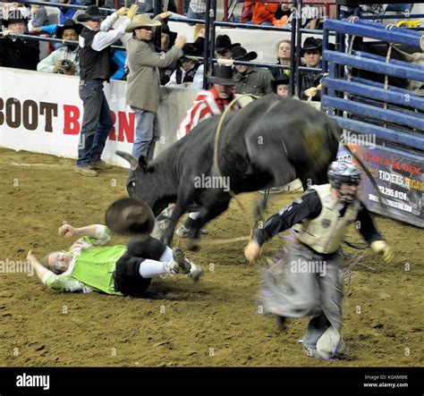 Denver Rodeo Events Stock Photo - Alamy