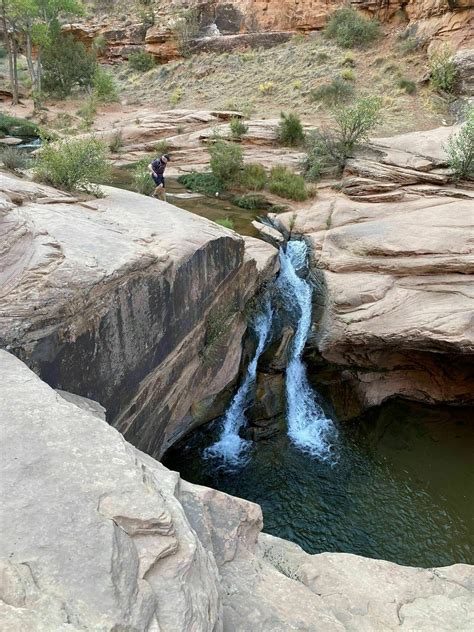 Photos of Mill Creek Trail - Utah | AllTrails