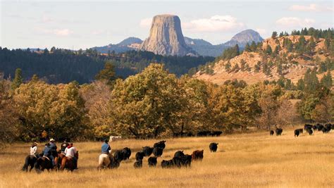 Black Hills National Forest | Sartle - Rogue Art History