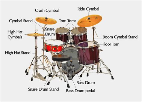 Custom Drum Set Builder | donyaye-trade.com
