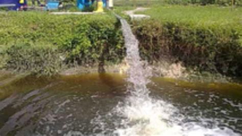 Treatment of Palm Oil Mill Effluent (POME) - SG Enviro