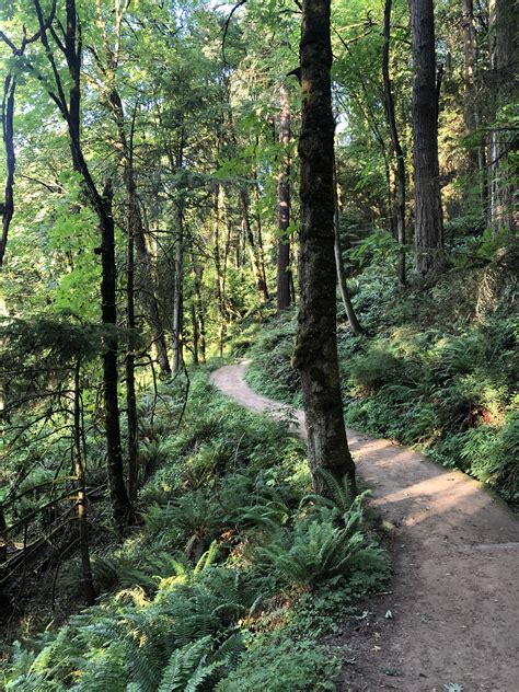 Forest Park in Portland, OR : r/trailrunning