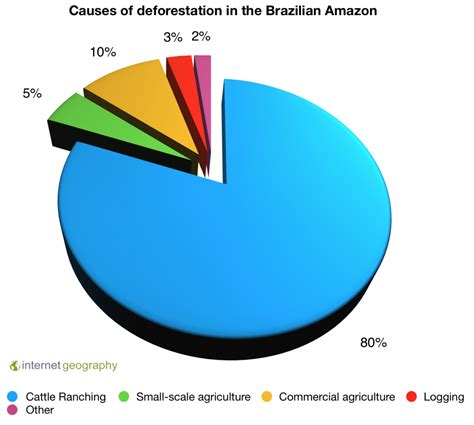 What are the causes of deforestation in the Amazon? - Internet Geography