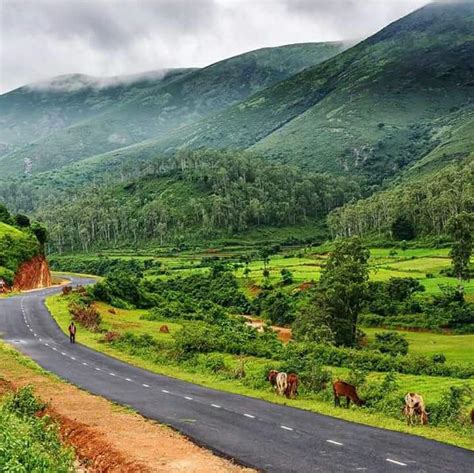 The northern end of Eastern ghats at koraput,odisha.the Deomali peaks ...