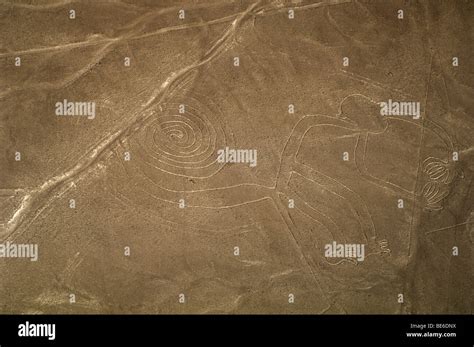 Nazca lines - monkey, Peru Stock Photo - Alamy