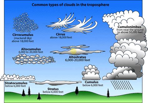 Cloud Types Diagram | Center for Science Education