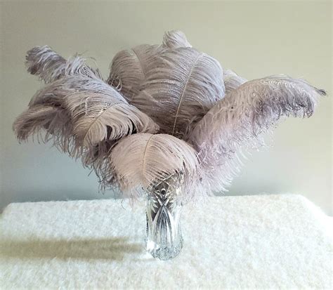 1st Quality XL Individual Female Ostrich Feathers – KOLUNTU