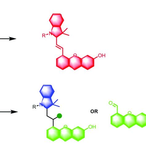 Design principles for activatable fluorescence probes. (A) Design ...