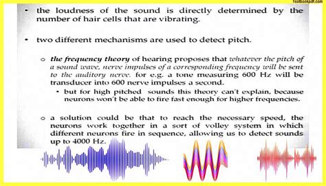 Auditory Perception In Psychology (Pdf) » TestBookpdf.com