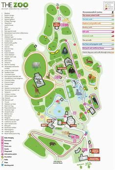 Minnesota Zoo Map | secretmuseum