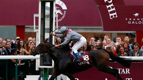 Treve named Horse of the Year at the 23rd Cartier Racing Awards | Racing News | Sky Sports