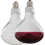 Heat Lamp Bulbs - Premier1Supplies