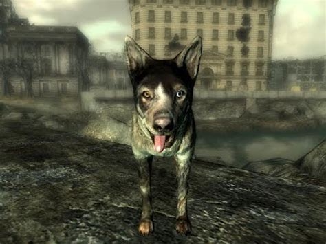 Dogmeat In Fallout 3