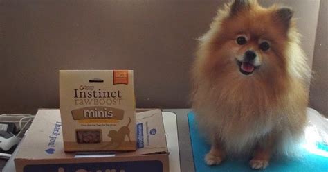 Pepper's Paws: Nature's Variety Instinct Raw Boost Minis from Chewy.com - Pet Product Review