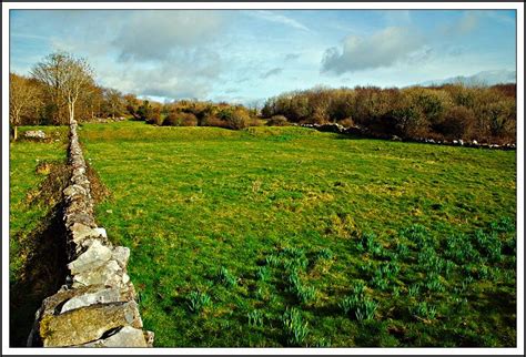 The Fields of Athenry: By a lonely harbor wall She watched the last ...