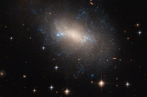 Hubble Image of the Week - Irregular Galaxy NGC 2337