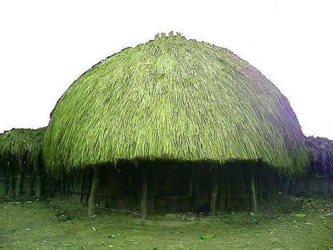 Papua Honai house - Papua | Indonesia, Rumah, Arsitektur