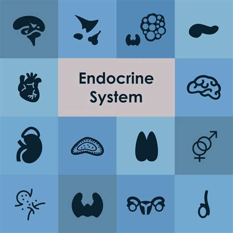 Endocrinology Logo - LogoDix