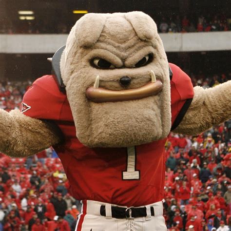 Georgia Football: 5 Reasons You Can't Count Bulldogs out of SEC Race ...