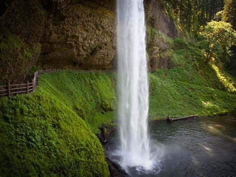 The Ultimate Travel Guide To Silver Falls State Park | Travel The Food ...