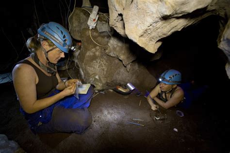 Anthropologists describe the first skeleton of a Homo naledi child - Ars Technica