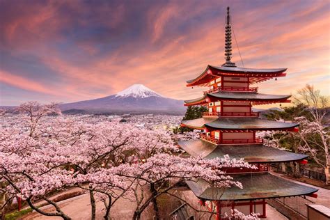 Why now is the best time to visit Japan | Japan holidays, Japan travel ...