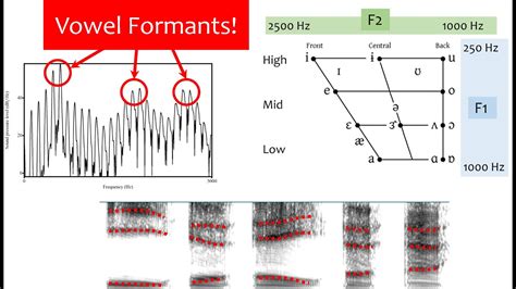 Speech Acoustics 5 - vowel formants - YouTube