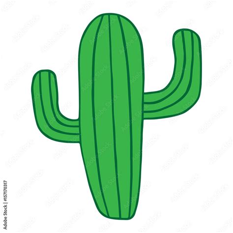 Green cactus plant isolated vector illustration drawing. Mexican cactus. Stock Vector | Adobe Stock