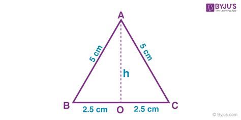 Properties of Triangle | Types and Formulas with Examples