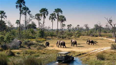 BOTSWANA - Travel Republic Africa