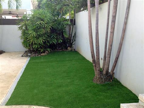 Grass Turf Bayside Gardens, Oregon Lawns, Backyard Landscape Ideas