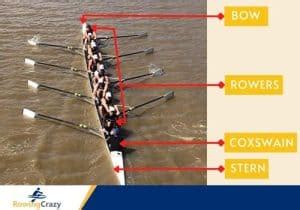 Crew Rowing Positions - Who Sits Where? | Rowing Crazy