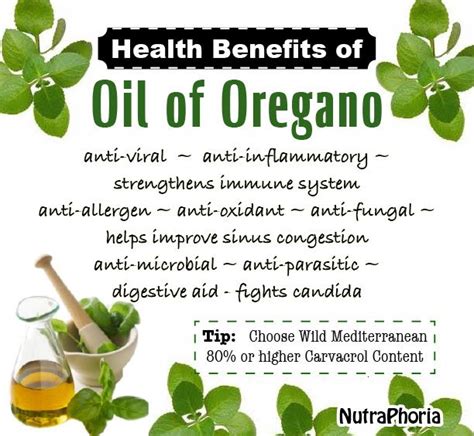 Oil of oregano is a fantastic immune booster that helps fight off ...