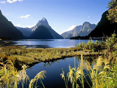 Fjordland New Zealand picture, Fjordland New Zealand photo, Fjordland ...