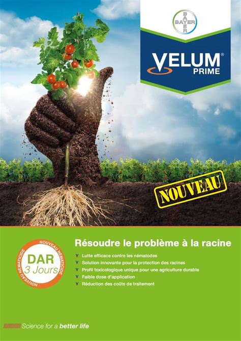 Velum de Bayer: Résoudre le problème à la racine - Agriculture du ...