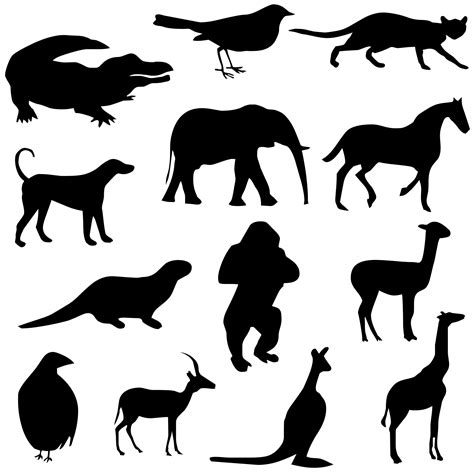 Animals Silhouettes Free Stock Photo - Public Domain Pictures