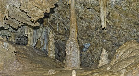 Merikay's Dream : Oregon Caves National Monument