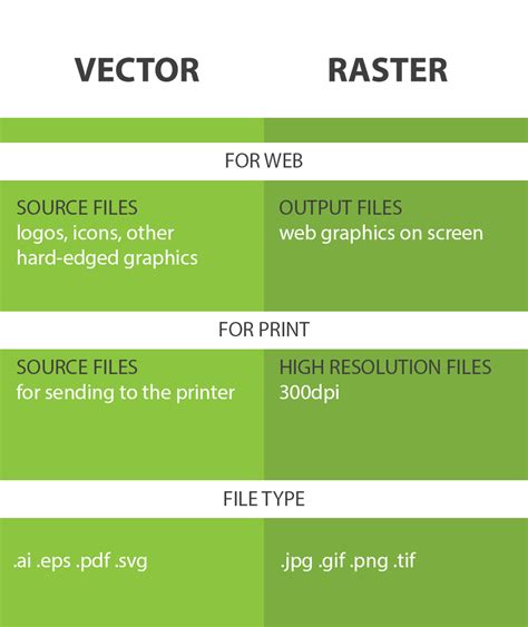 Vector and Raster: The Differences Between Both File Fomats