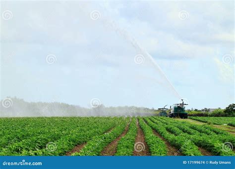 Irrigation Farm Land stock photo. Image of agriculture - 17199674