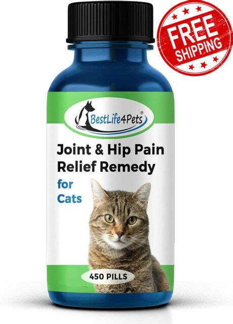 CAT JOINT & ARTHRITIS PAIN RELIEF Powerful Anti-inflammatory Natural Remedy | eBay