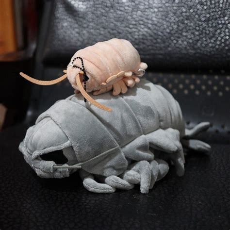 An Adorably Creepy Giant Isopod Plush Doll Giant Isopod, Plush Dolls ...