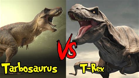 T Rex Vs Tarbosaurus