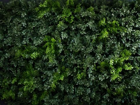 Premium AI Image | Dark green leaves closeup texture photo