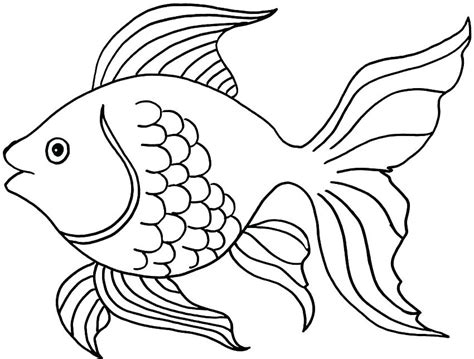 Realistic Fish Drawing at GetDrawings | Free download